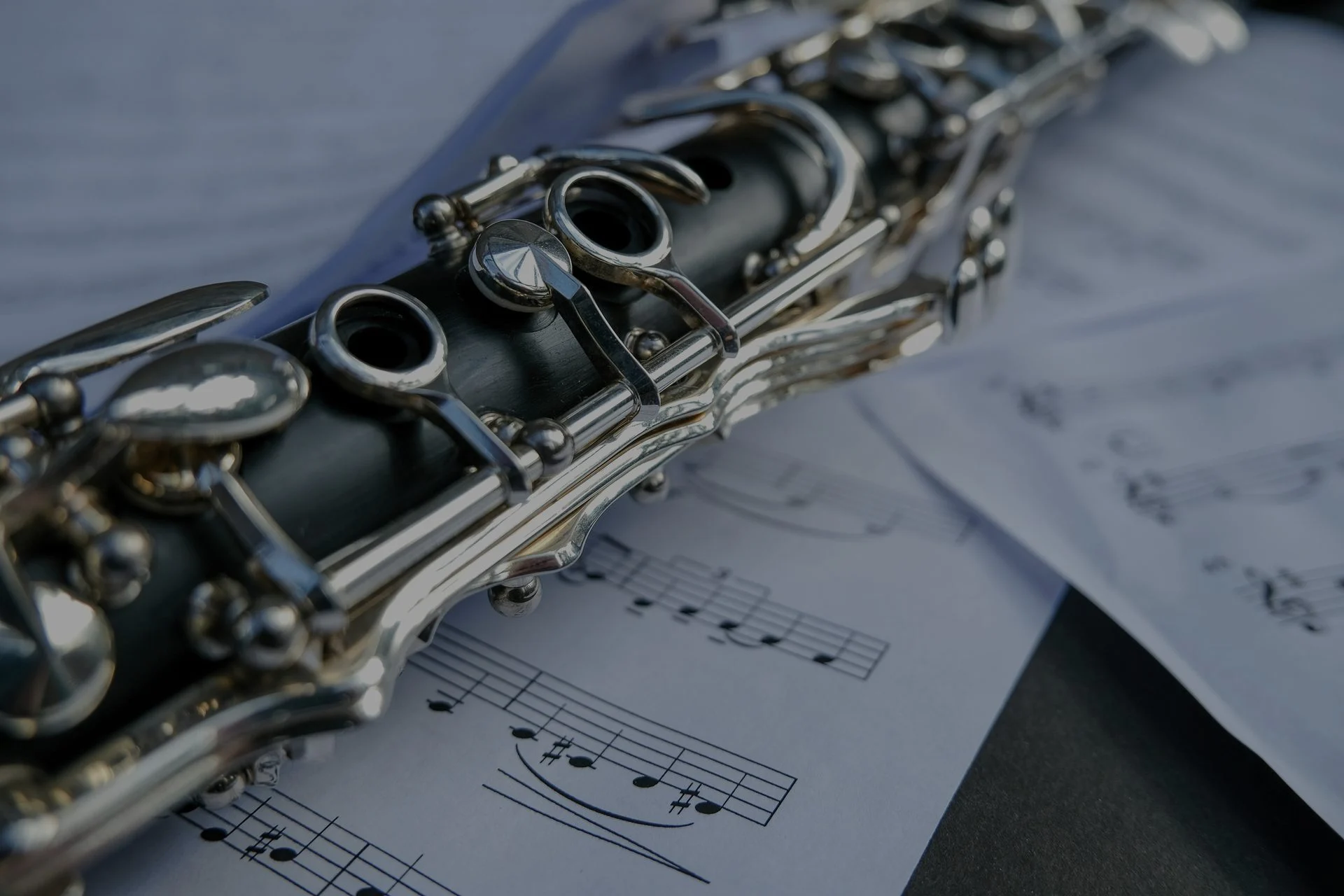 Musician performing on a clarinet