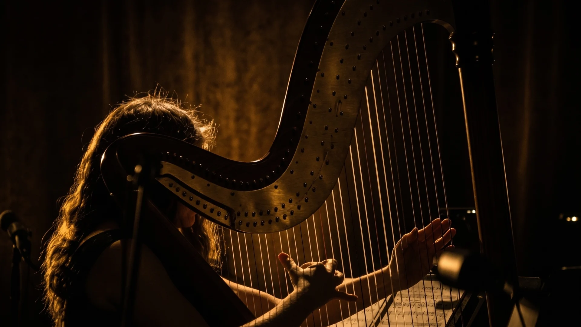 1 Harp Header2