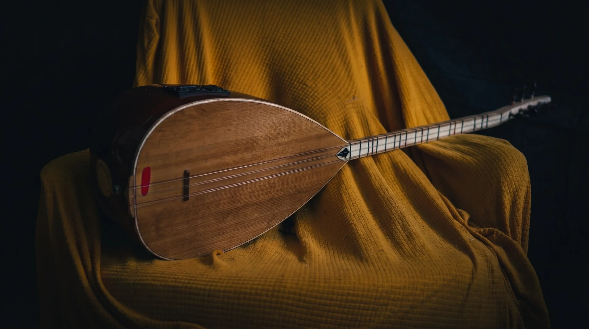Musician performing on a sitar, lute, or oud