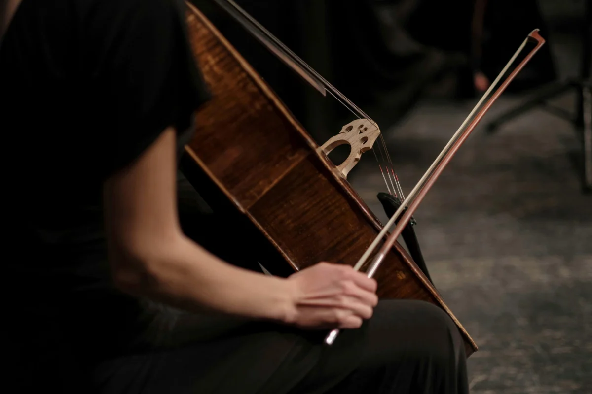 Close-up of a double bass being played