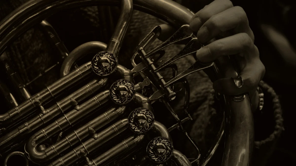 2 Frenchhorn Closeup
