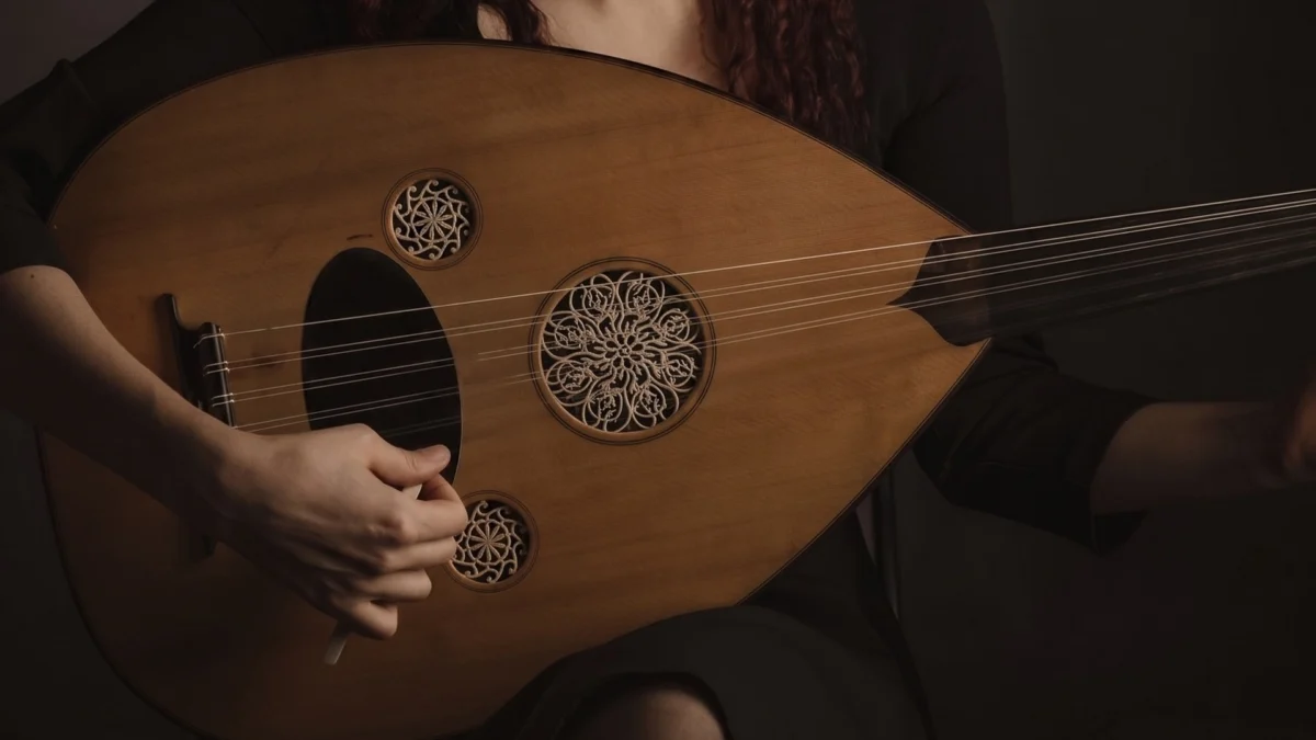 Close-up of a sitar, lute, or oud being played