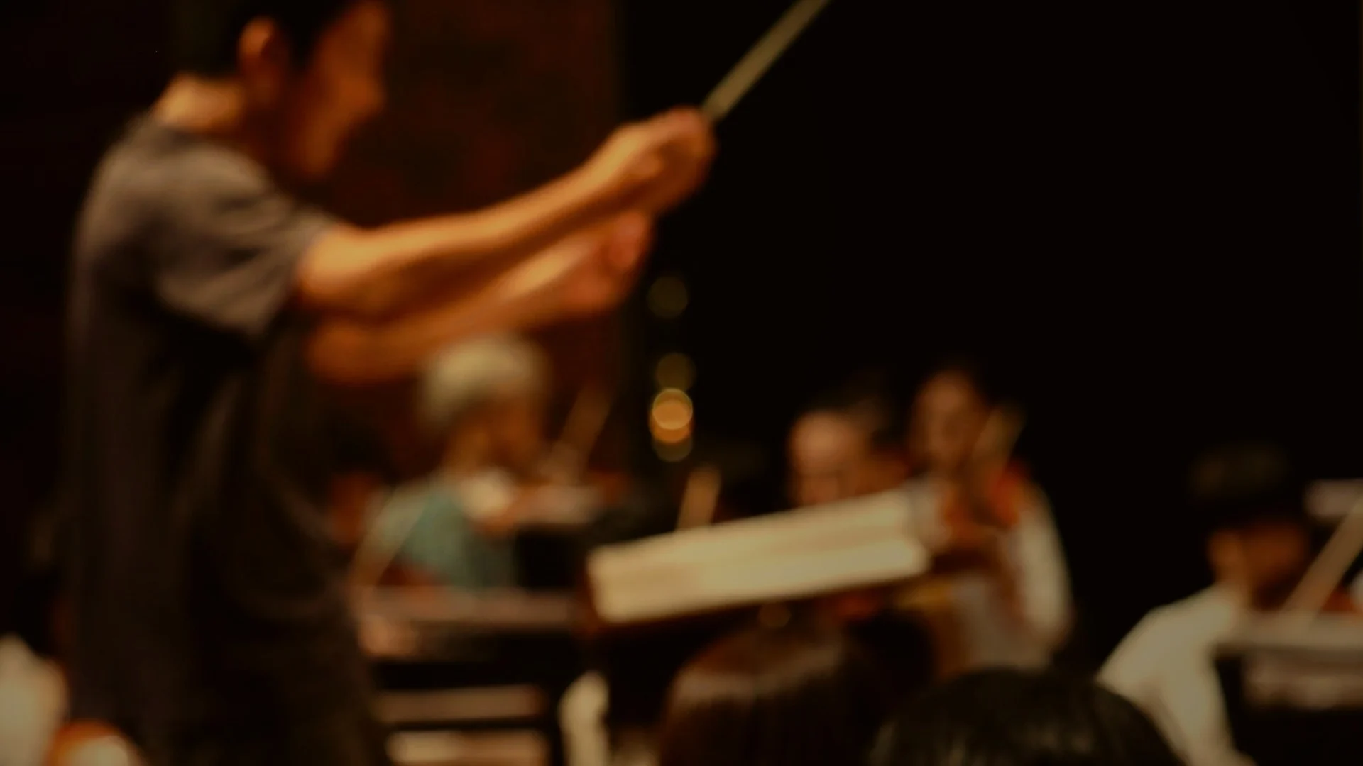 Orchestra performing under a conductor's direction