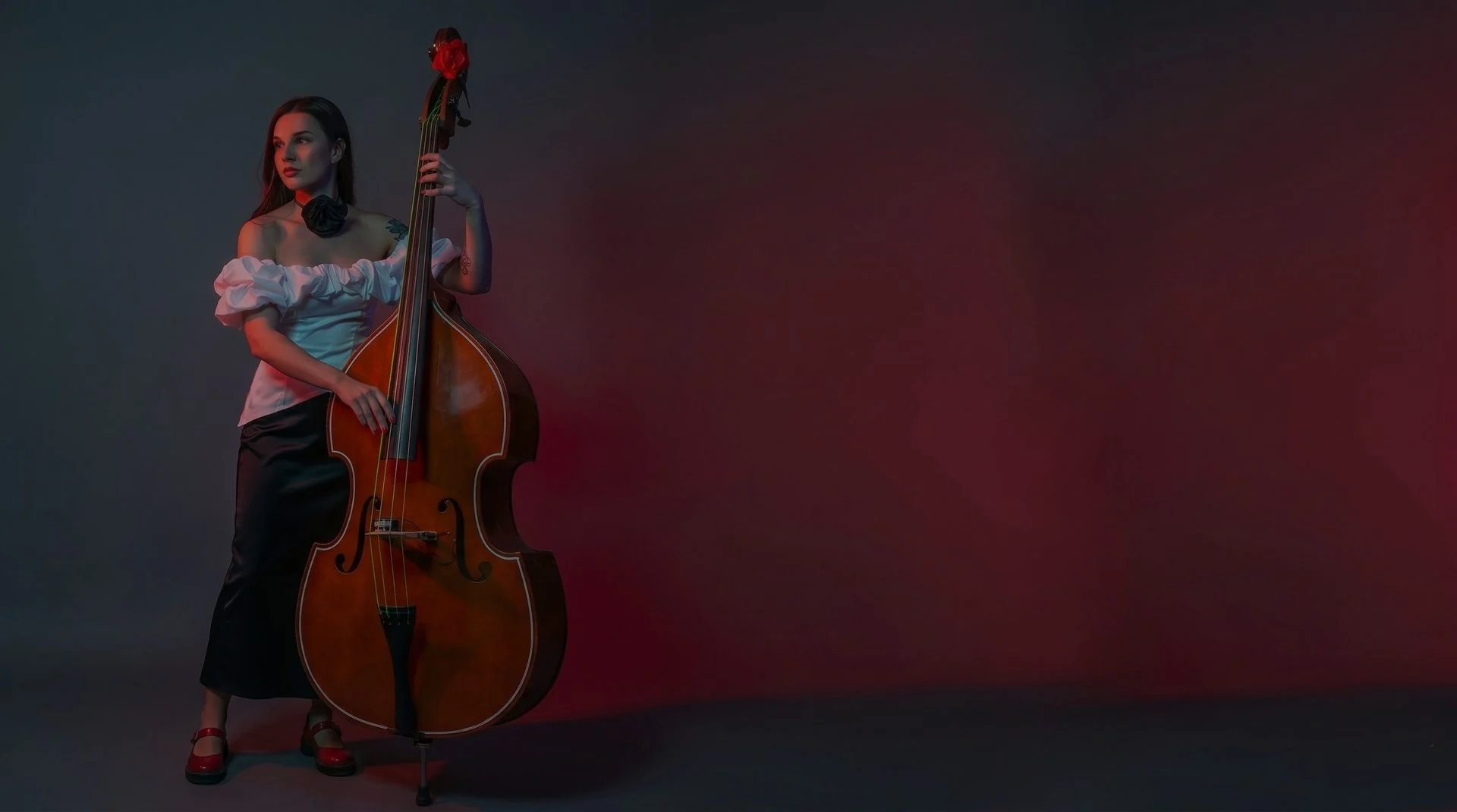 Double Bass shown in a performance or practice setting