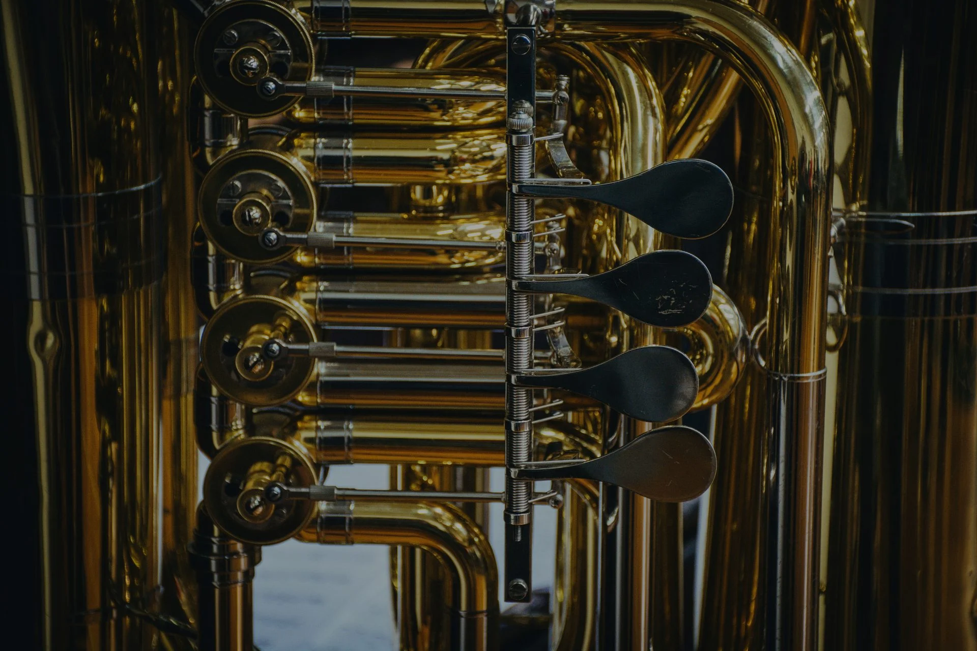 Euphonium & Baritone Horn shown in a performance or practice setting