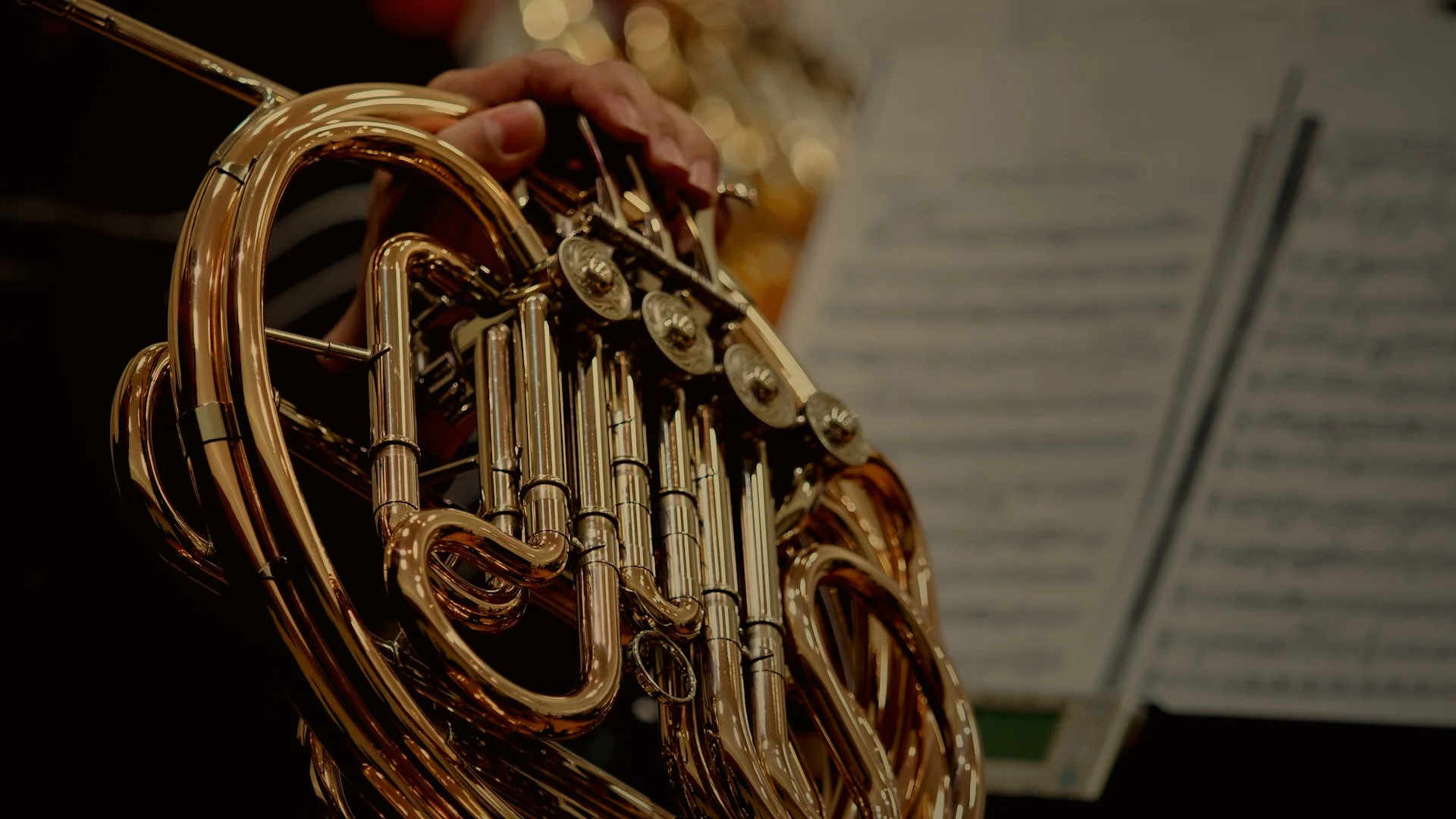 3 Frenchhorn Background