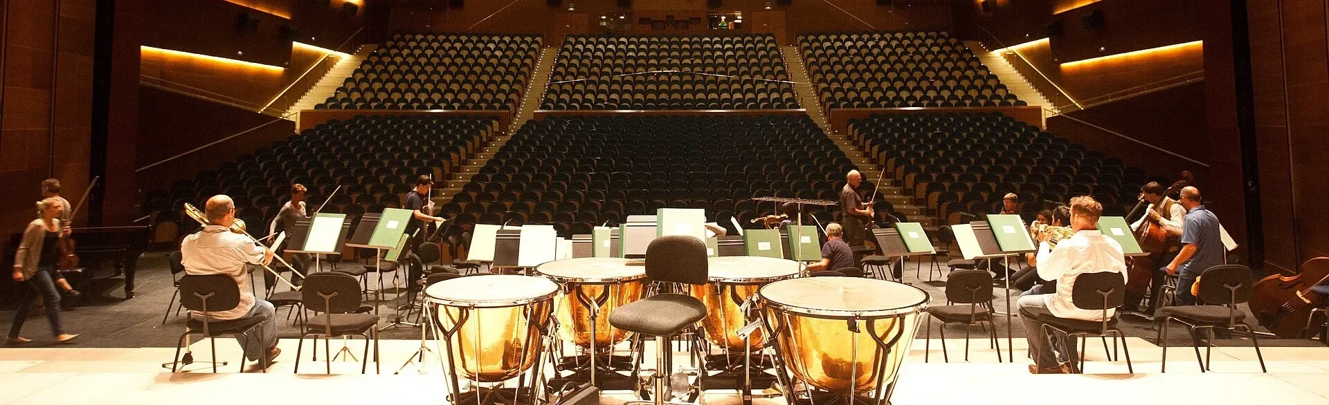 Timpani shown in a performance or practice setting