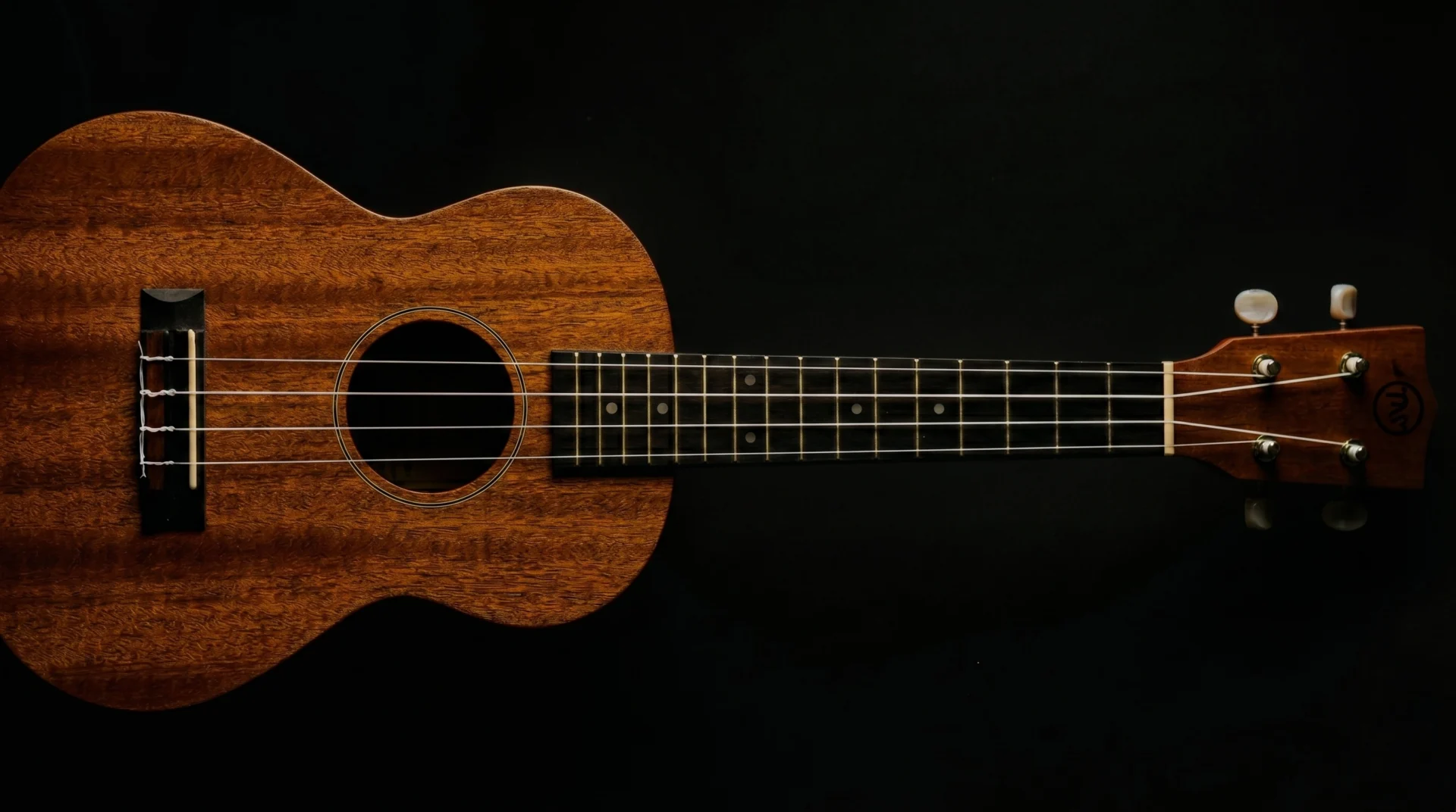 Ukulele shown in a performance or practice setting