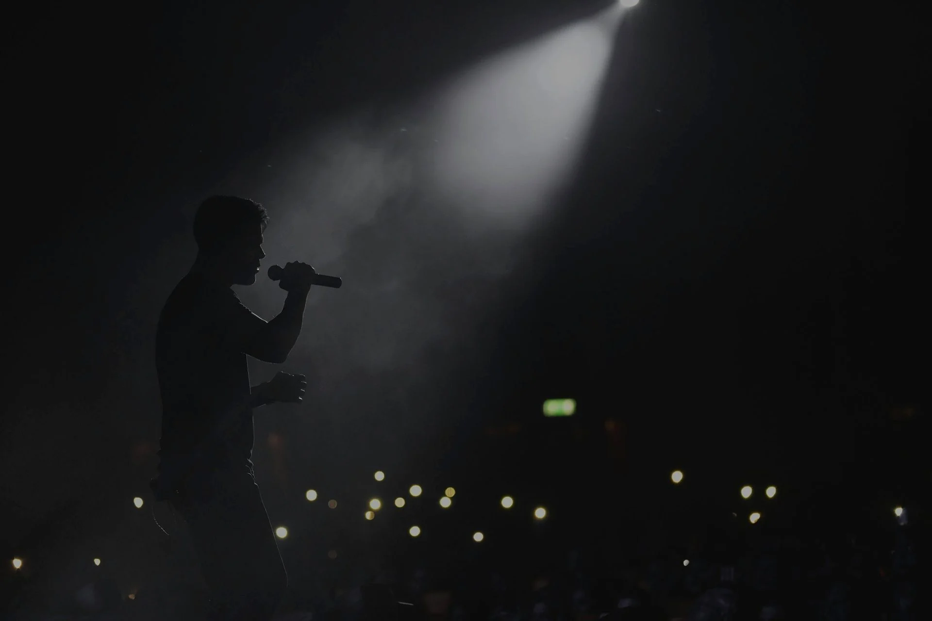 Vocalist performing with a microphone in a studio or stage setting