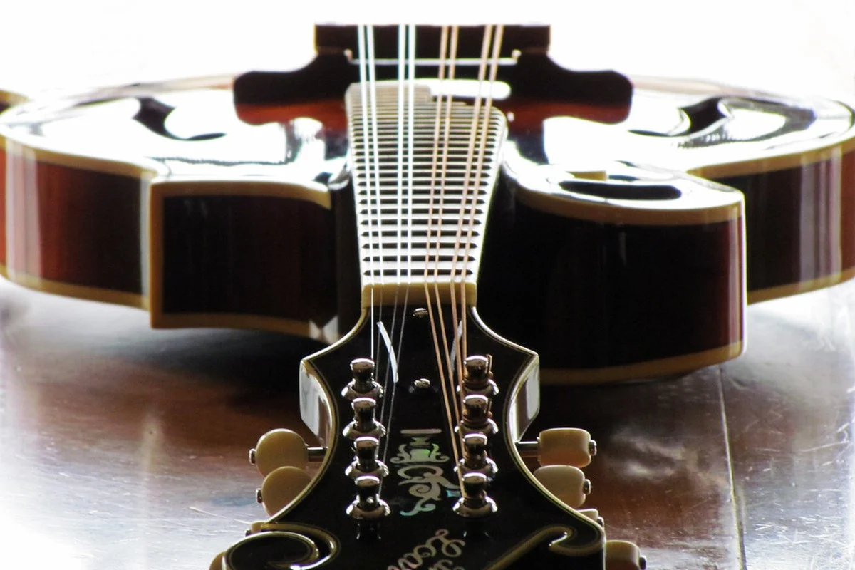 One-on-one mandolin lesson in a home or studio setting