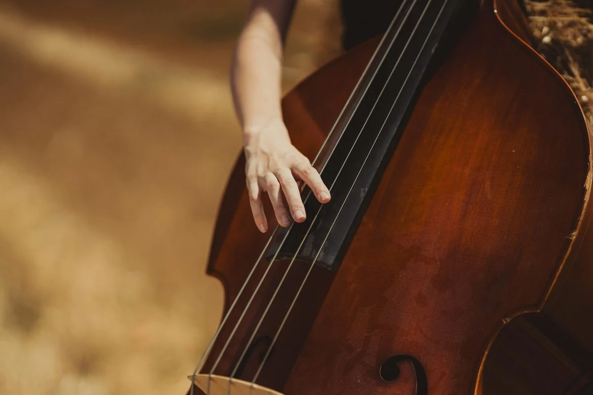 One-on-one double bass lesson in a home or studio setting