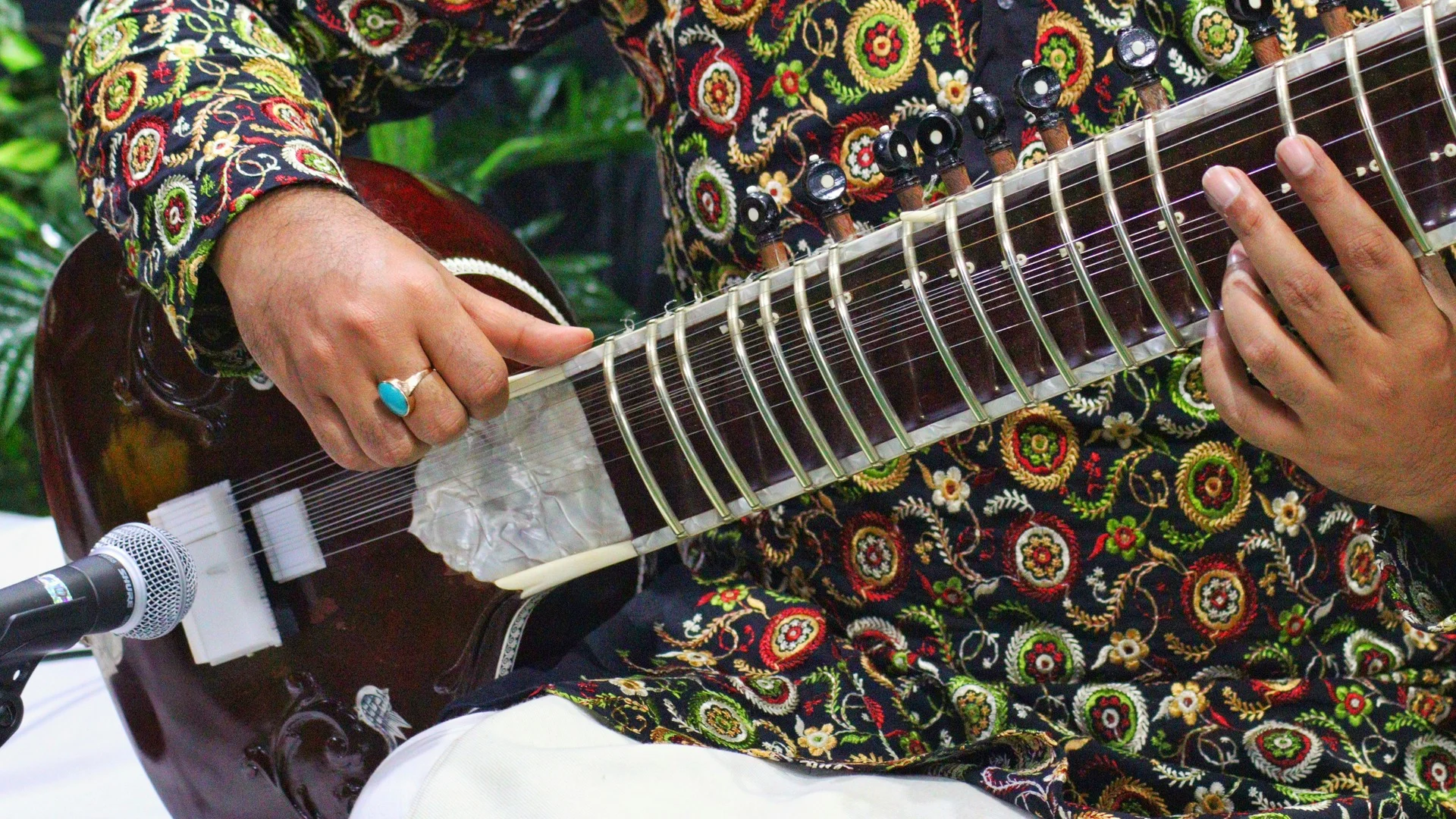 One-on-one sitar, lute & oud lesson in a home or studio setting