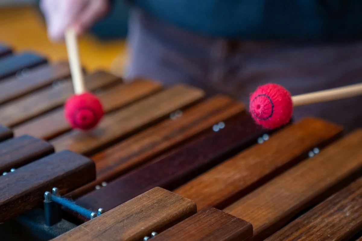 Glockenspiel & Vibraphone teacher demonstrating technique for a student