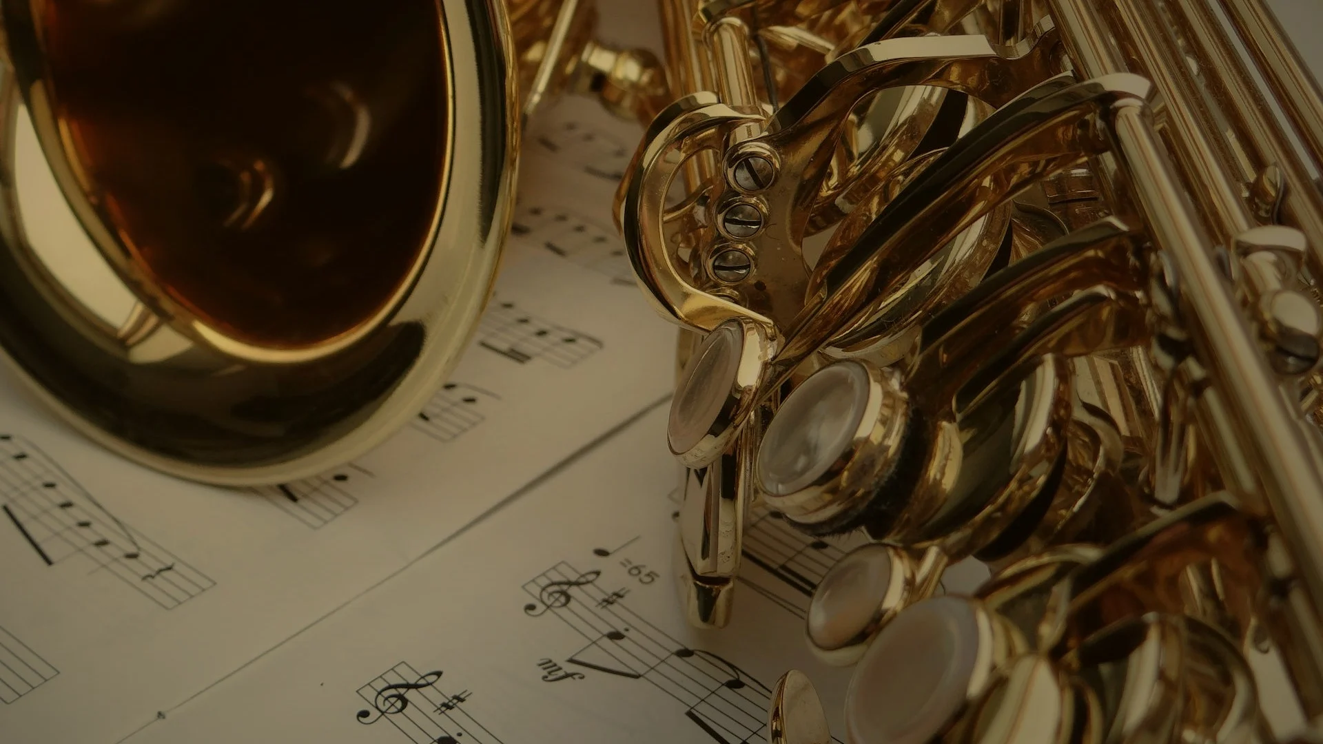 7 Frenchhorn Thumbnail 4