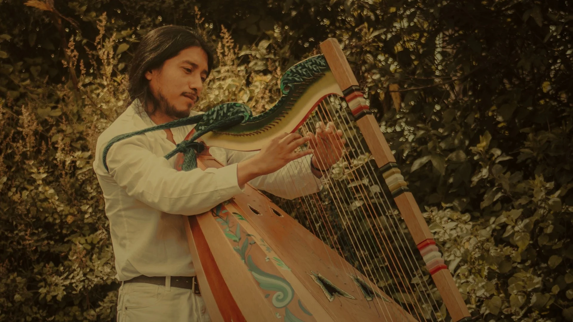 7 Harp Thumbnail 4